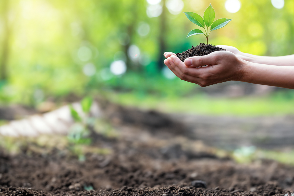 Sustainability Employee